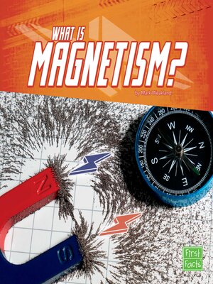 What Is Magnetism? - ebook